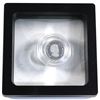 Image 2 : 2014 Canada $5 Cougar Platinum Coin in Floating frame (TAX Exempt)