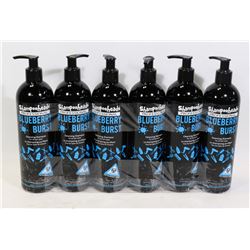 CASE OF 6 (500ML,EA) BLUEBERRY BURST PROFESSIONAL
