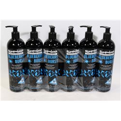 CASE OF 6 (500ML,EA) BLUEBERRY BURST PROFESSIONAL