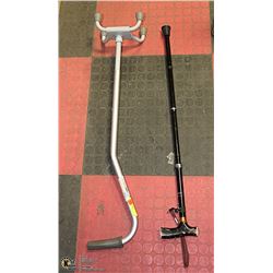 2 CANES  - 1 WOOD, 1 METAL