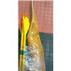 Image 2 : BOW AND ARROWS