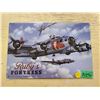 Image 1 : FLYING FORTRESS TIN SIGN