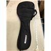 Image 2 : GUITAR AND CASE