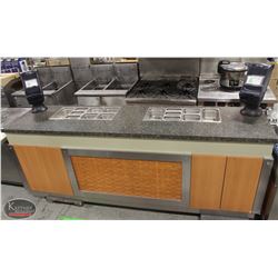 CUSTOM COMMERCIAL CONDIMENT STATION W/ ASSORTED