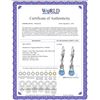 Image 2 : Genuine 1.30 ctw Blue Topaz Earrings 14KT Rose Gold - REF-49K3V