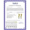 Image 2 : Genuine 14.3 ctw White Topaz & Peridot Earrings 14KT Yellow Gold - REF-82F9Z