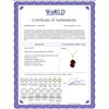 Image 2 : Genuine 3.12 ctw Garnet Necklace 14KT Yellow Gold - REF-25P3H