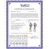 Image 2 : Genuine 9.3 ctw Multi-Color Sapphire & Pearl Earrings 14KT White Gold - REF-48R4P