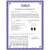 Image 2 : Genuine 24.5 ctw Black Spinel Earrings 14KT Yellow Gold - REF-36K2V