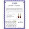 Image 2 : Genuine 18.6 ctw White Topaz & Ruby Earrings 14KT Yellow Gold - REF-46V7W