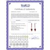 Image 2 : Genuine 29.2 ctw Ruby Earrings 14KT White Gold - REF-89A9K