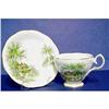 Image 1 : Queen Anne Cup & Saucer - TUDOR COTTAGE #1278192