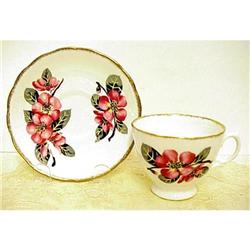 Tea Cup & Saucer - Apple Blossom #1278219