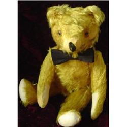 American - 30cm Golden  Bear #1278666