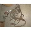 Image 1 : Assorted Horse Spurs, Harnesses, Mouth Pieces #1285652