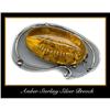 Image 1 : STERLING SILVER AMBER BROOCH #64 #1305724