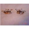 Image 1 : Art Deco Sterling Rhinestone Enamel Earrings #1311189