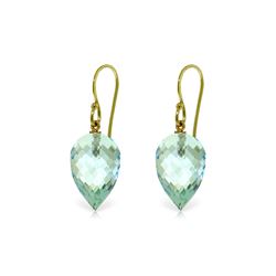 Genuine 22.5 ctw Blue Topaz Earrings 14KT Yellow Gold - REF-44K5V