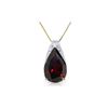 Image 1 : Genuine 5 ctw Garnet Necklace 14KT Yellow Gold - REF-37W4Y