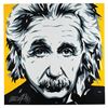 Image 1 : Albert Einstein: Allison Lefcort