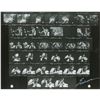 Image 1 : Fleetwood Mac Contact Sheet Photograph
