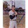 Image 2 : Ted Williams Signed Photograph