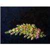 Image 1 : Rose & Citrine Rhinestone Jointed Brooch #1278739
