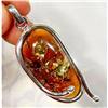 Image 1 : Curvaceous Baltic Amber Sterling Pendant #1306609