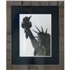 Image 1 : Anonymous   Statue of Liberty Framed #1312029