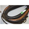 Image 3 : Horse Collar Haines