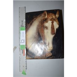 Sid Dickens Block (White Horse)