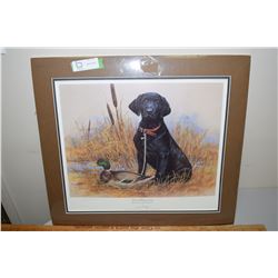 Matted LTD ED Black Lab Print