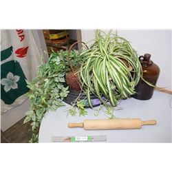 Fake Plants, Antique Gallon Bottle and Rolling Pin