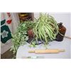 Image 1 : Fake Plants, Antique Gallon Bottle and Rolling Pin