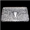 Image 1 : English Nouveau Sterling Tray