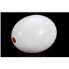 Image 2 : Four Ostrich Eggs