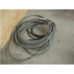 Garden Hose (2)