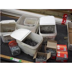 Misc nails and screws