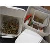 Image 2 : Misc nails and screws