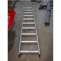 Single Ladder 10ft