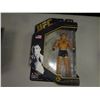 Image 1 : Matt Hughes UFC Legends Series 9
