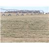 Image 3 : 160 +/- Acres of Irrigated Crop Land