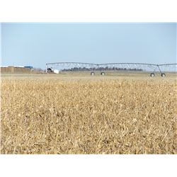 158 +/- Dryland Farm Land