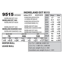 INDRELAND EXT 9515