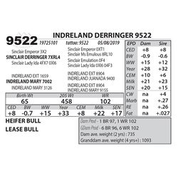 INDRELAND DERRINGER 9522