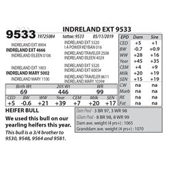 INDRELAND EXT 9533