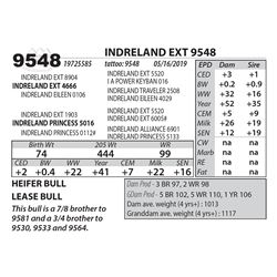 INDRELAND EXT 9548