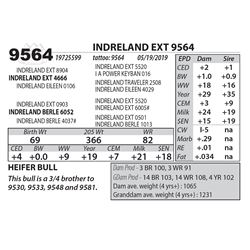 INDRELAND EXT 9564