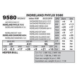 INDRELAND PHYLIX 9580