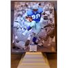 Image 1 : BARRY SANDERS AUTOGRAPHED DETROIT LIONS SPOTLIGHT 16X20 GLOSSY (BECKETT/BARRY SANDERS HOLOGRAM)